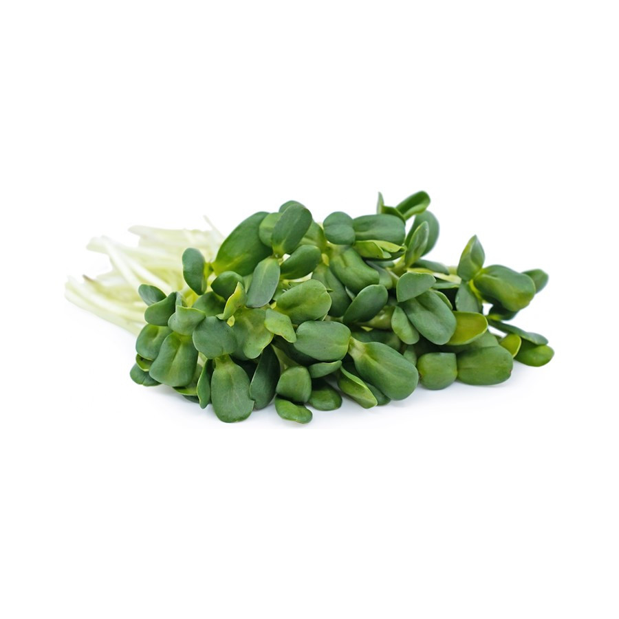 Produto: Micro Legume Girassol 80 G